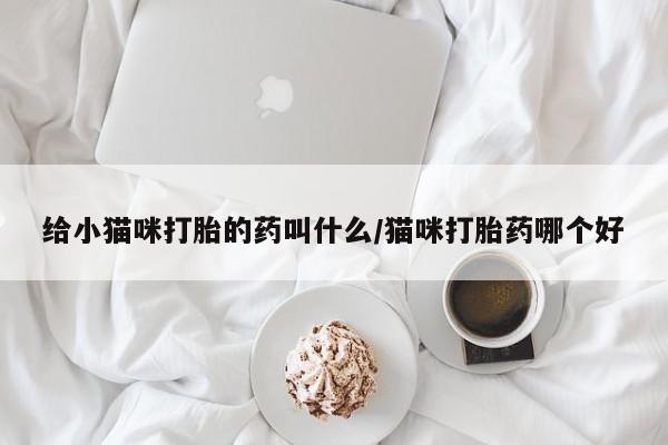 私人卖流产药联系方式给小猫咪打胎的药叫什么/猫咪打胎药哪个好