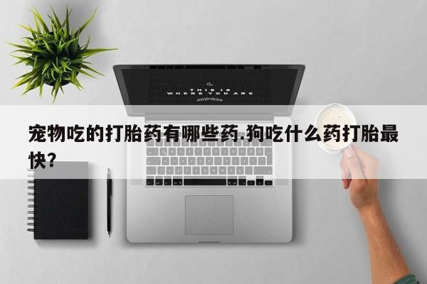 私人卖流产药联系方式宠物吃的打胎药有哪些药.狗吃什么药打胎最快？