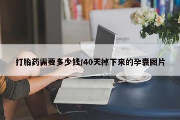 私人卖流产药联系方式打胎药需要多少钱/40天掉下来的孕囊图片